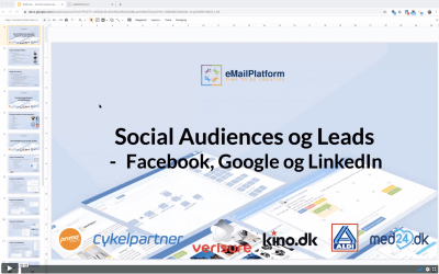 Webinar: Social Audiences og Leads