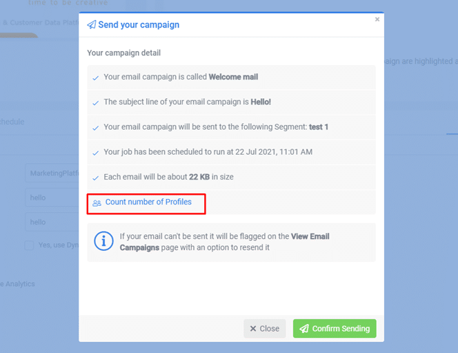 A screenshot from the interface of MarketingPlatform picturing the instructions for sending a campaign newsletter.