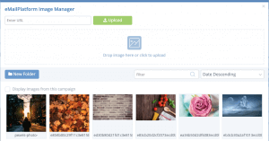A screenshot from the interface of MarketingPlatform, picturing the instructions for using and editing Images.