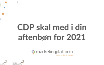 Webinar: CDP skal med i din aftenbøn for 2021